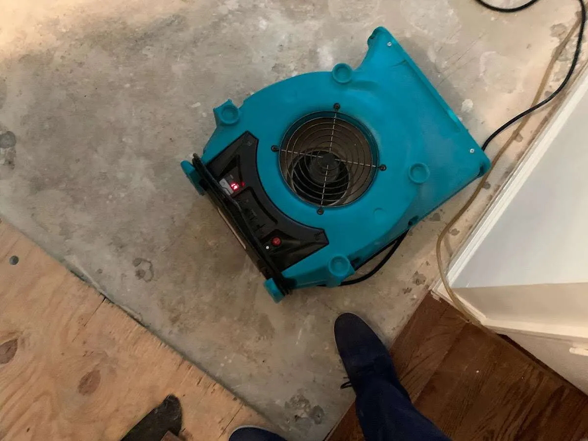 Air mover drying subfloor during Leak Detection & Repair in New Hope